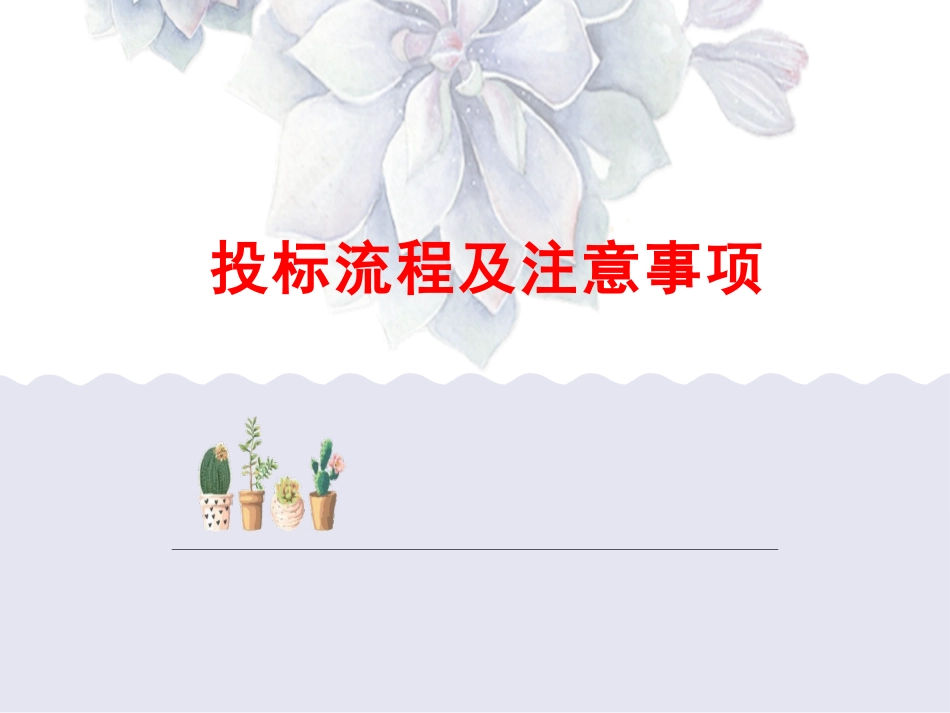 投标流程及注意事项_第1页