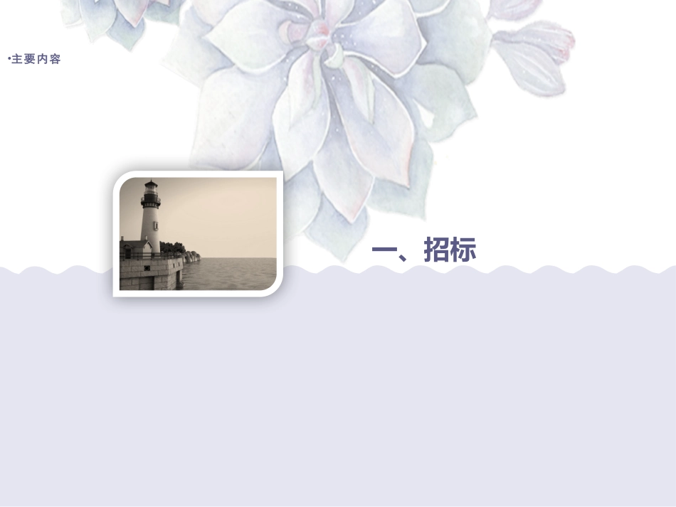 投标流程及注意事项_第3页