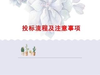 投标流程及注意事项