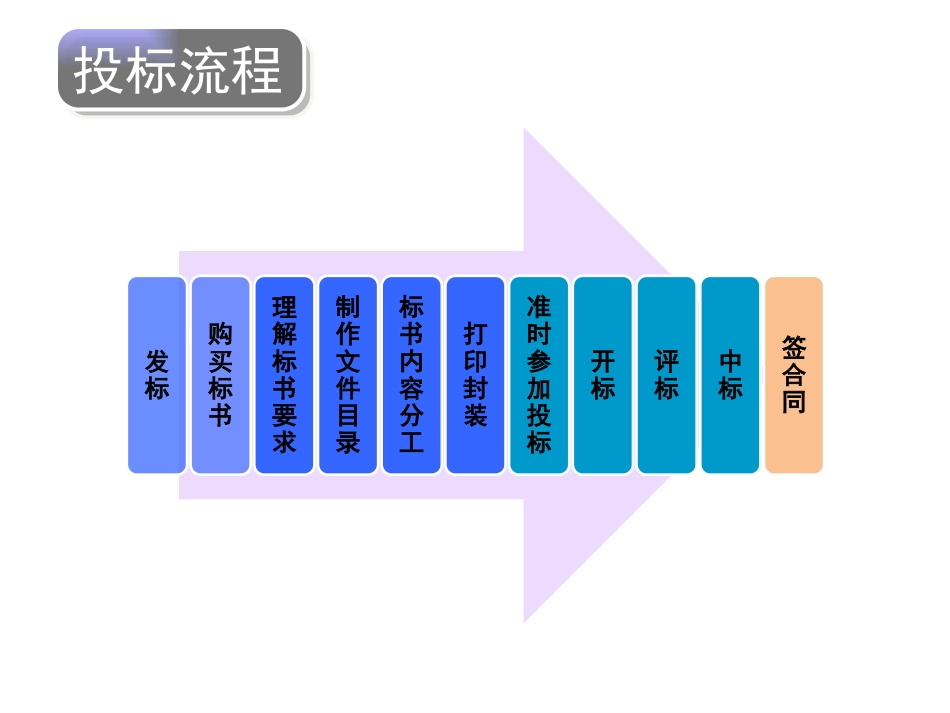 投标文件制作流程和技巧_第2页