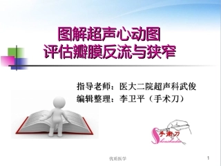 图解超声心动图评估瓣膜反流程度清晰详实