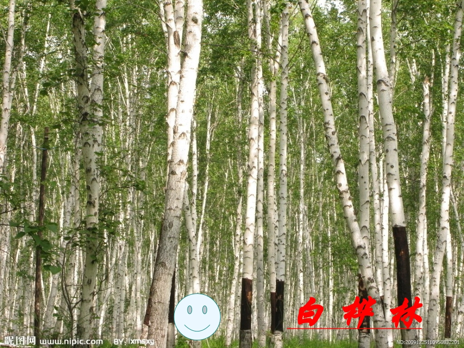 土地的誓言课件_第3页