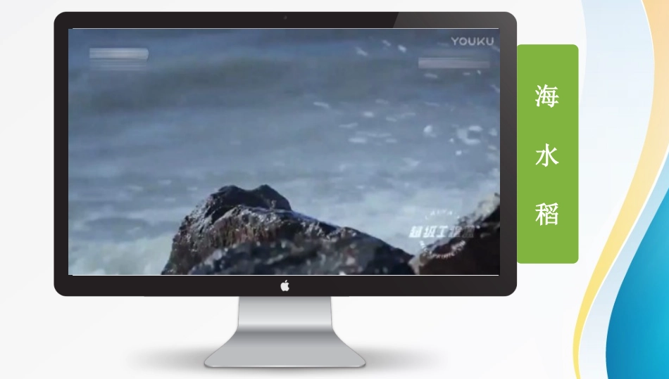 土地盐碱化课件_第2页