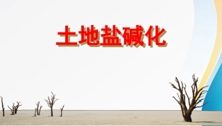 土地盐碱化课件