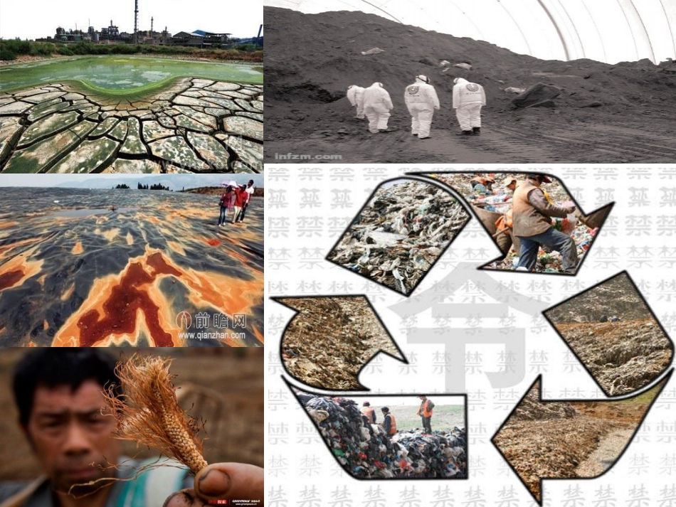 土壤复合污染与修复_第2页