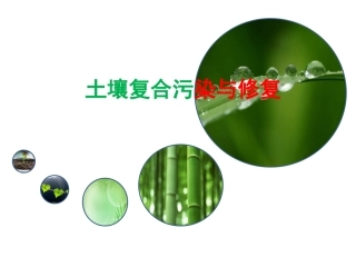 土壤复合污染与修复
