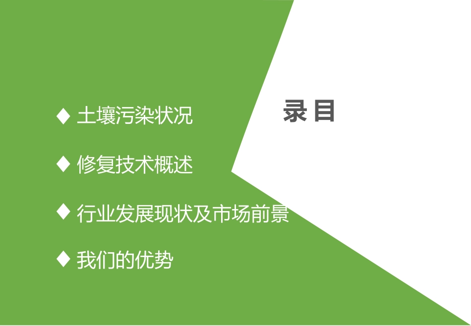 土壤污染与修复技术_第2页