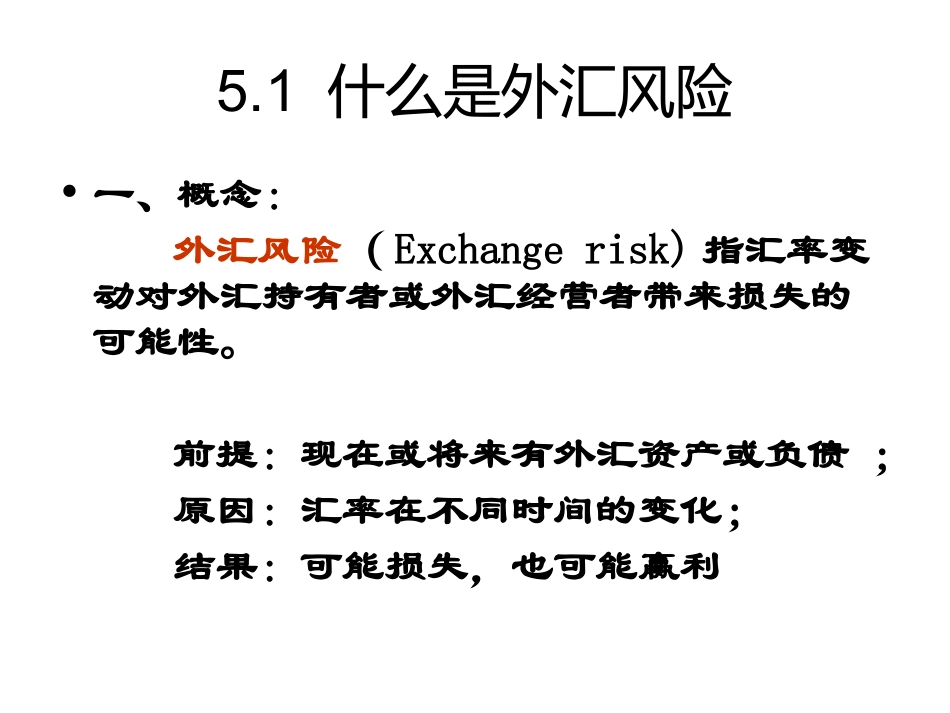 外汇风险管理_第2页