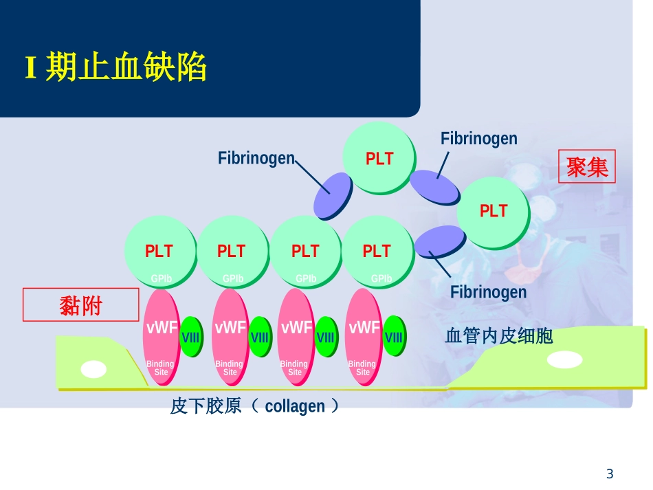 外科出血的内科处理_第3页