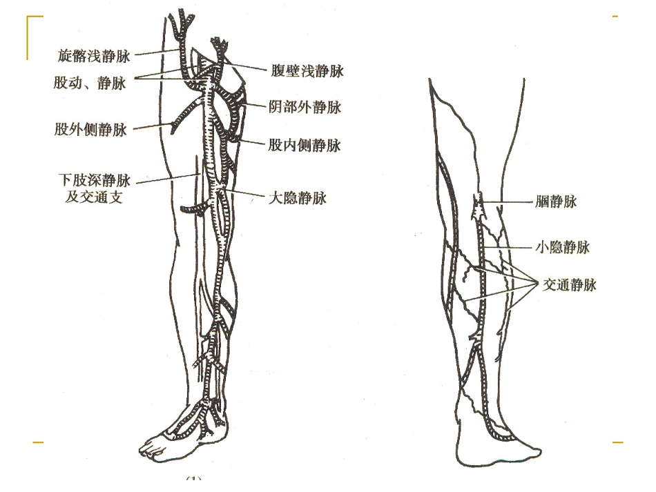 外科护理学课件_第3页