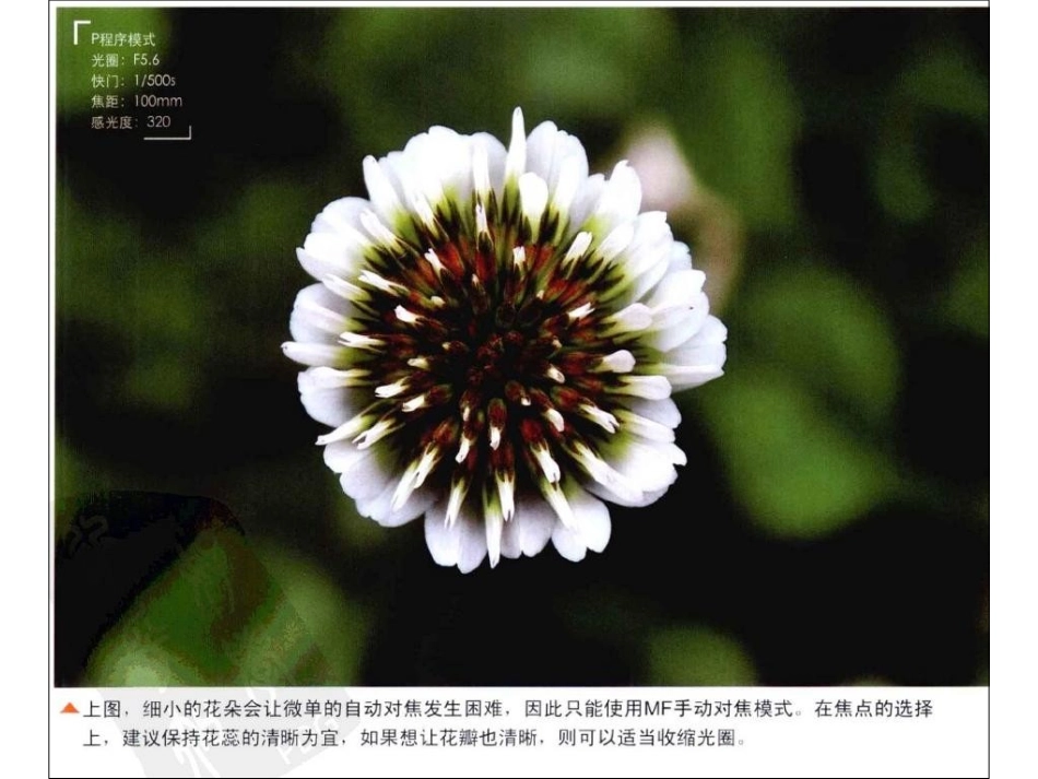 微单相机使用技巧课件_第3页