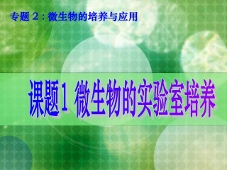 微生物的实验室培养