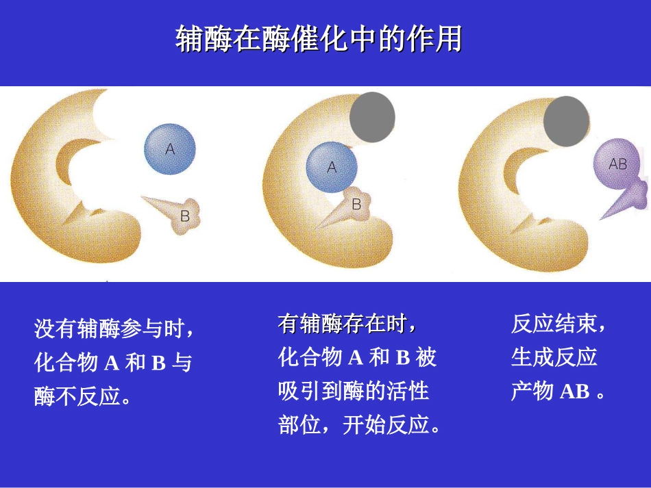 维生素的定义和分类_第2页