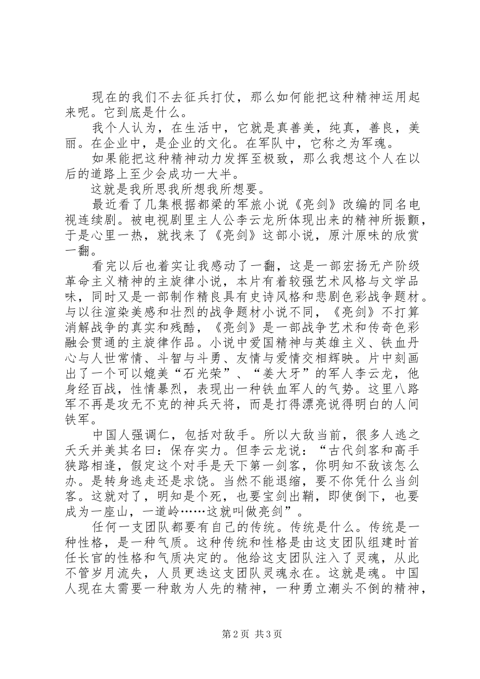 新亮剑读后感_第2页