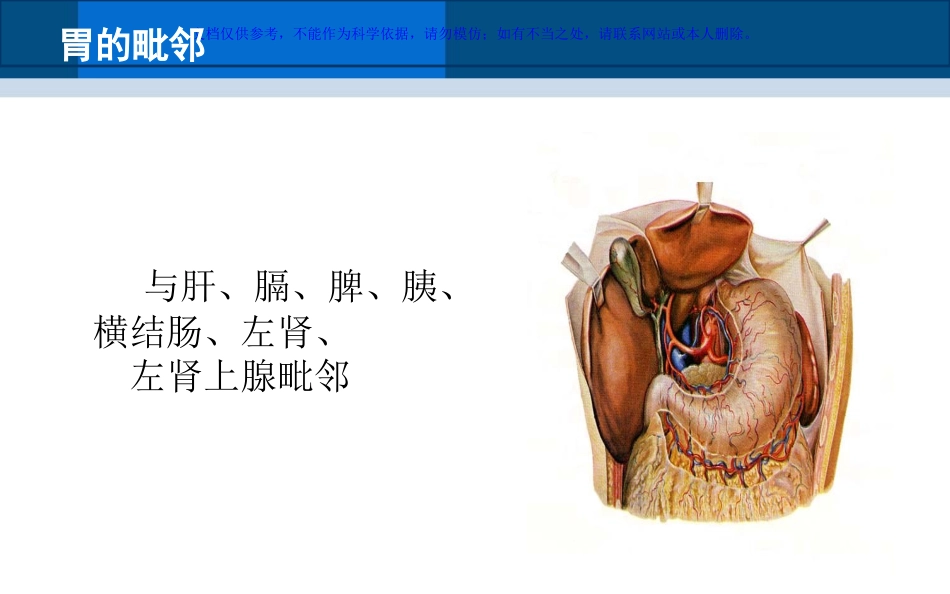 胃癌根治术手术配合课件_第1页