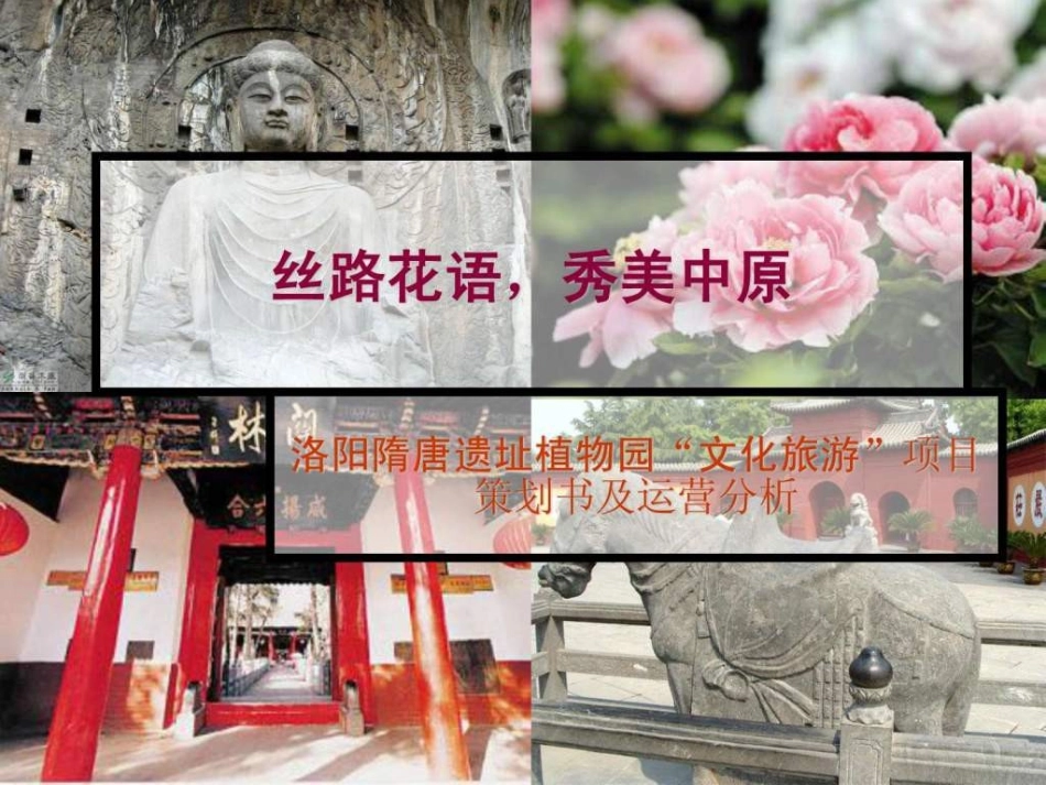 文化旅游项目策划案_第1页