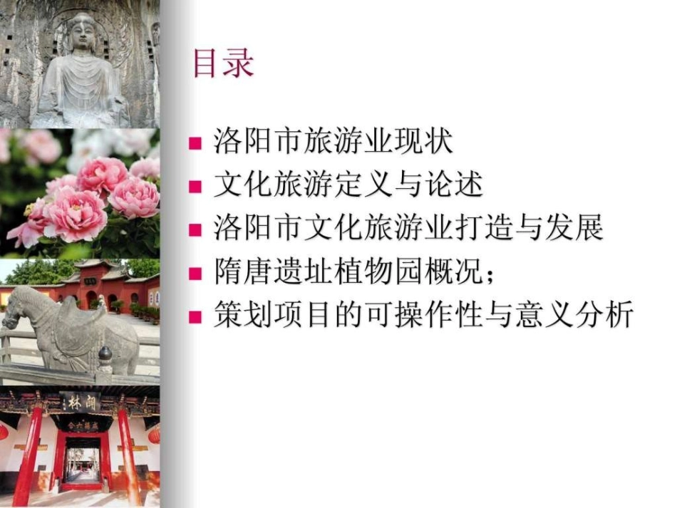 文化旅游项目策划案_第2页