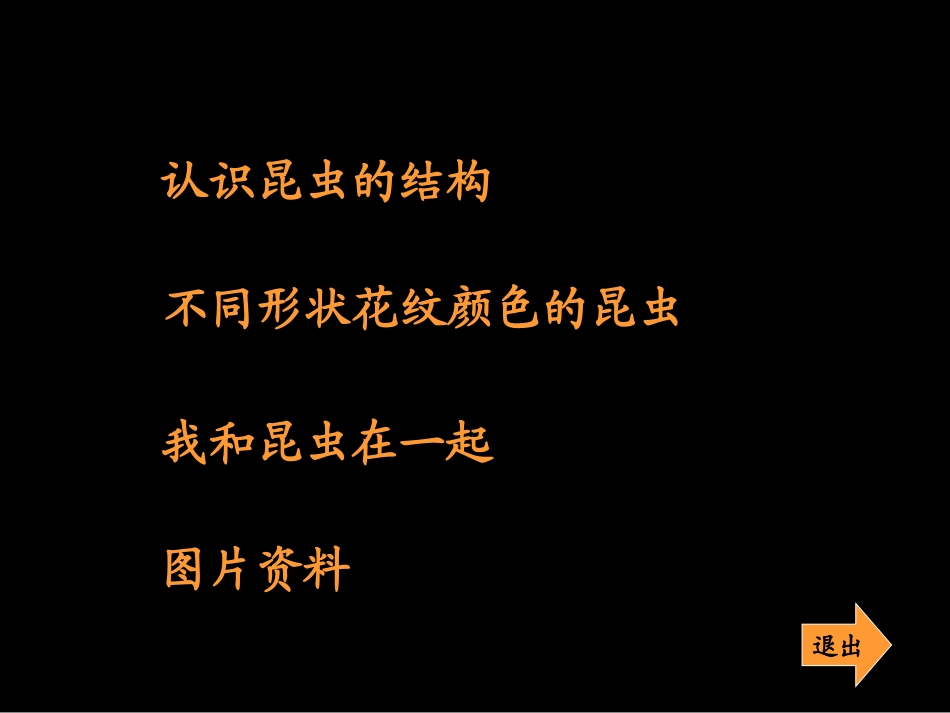 我和昆虫课件_第2页