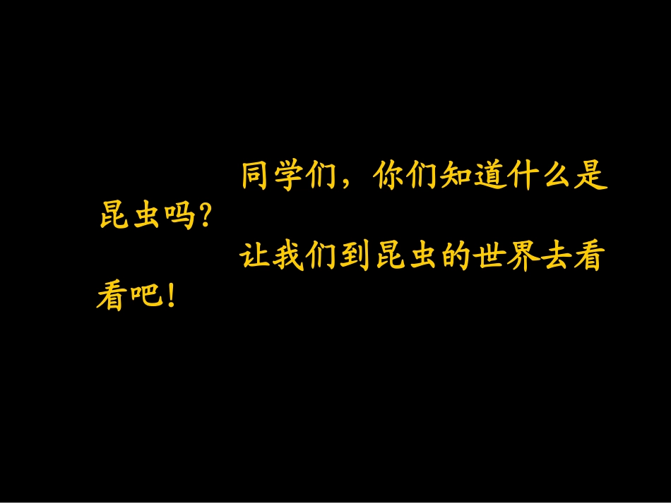 我和昆虫课件_第3页