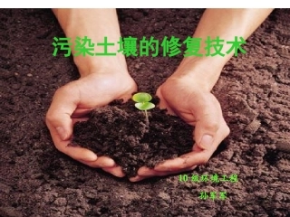 污染土壤的修复技术简介分解