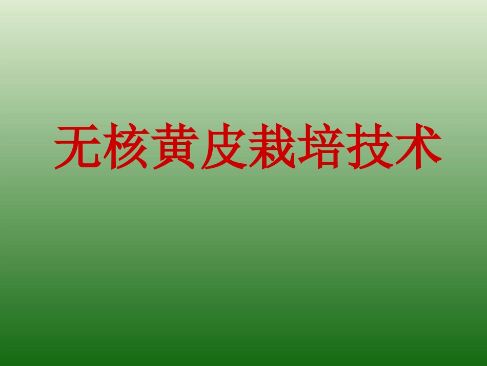 无核黄皮栽培技术_第1页