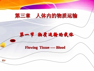 物质运输的载体分析