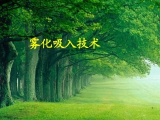 雾化吸入法课堂