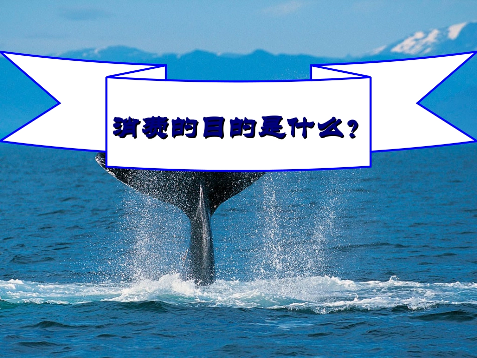 西方经济学消费者行为理论边际效用分析_第2页