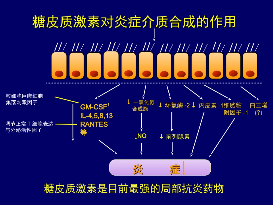 吸入型糖皮质激素药理分析_第3页