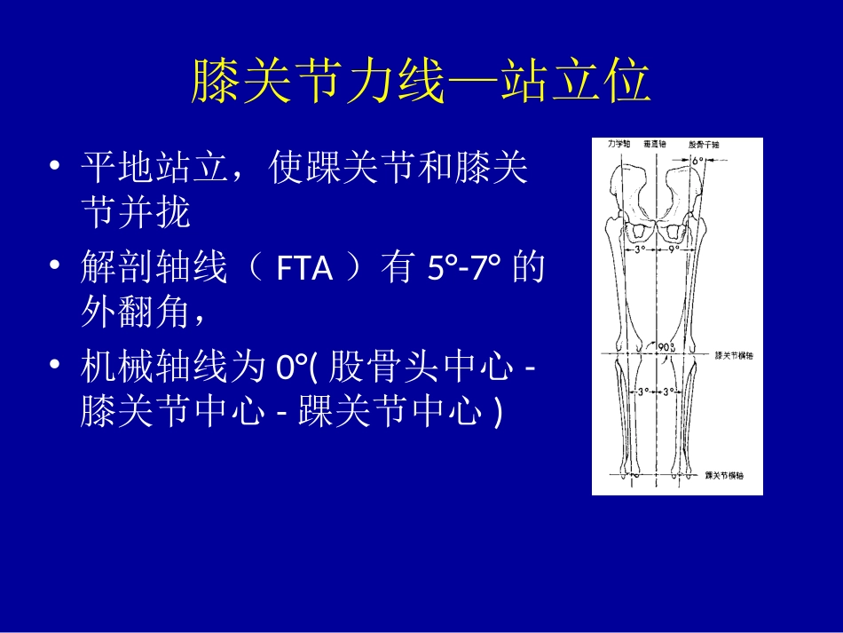 膝关节查体剖析_第3页