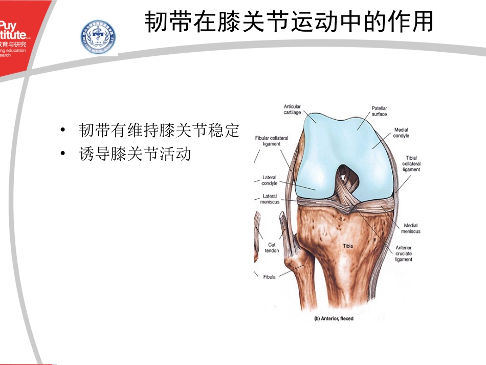 膝关节截骨软组织平衡原则及技巧_第2页