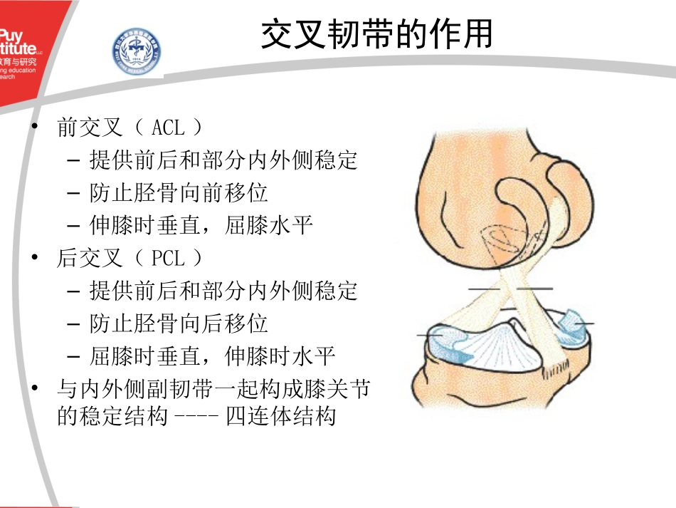 膝关节截骨软组织平衡原则及技巧_第3页