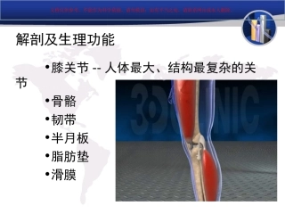膝关节解剖和常见疾病MRI课件