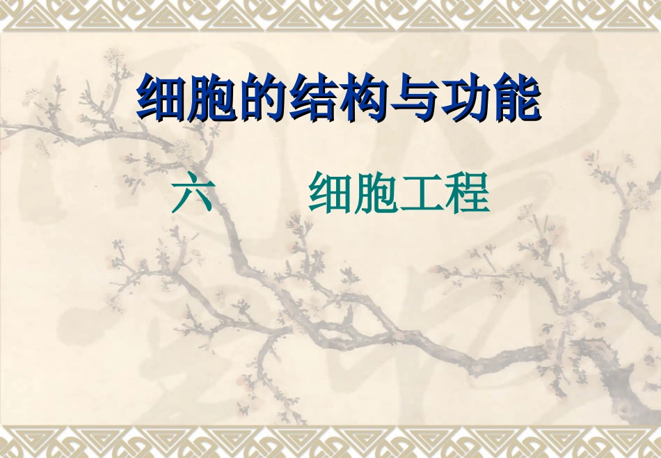 细胞的结构与功能细胞工程课件_第1页