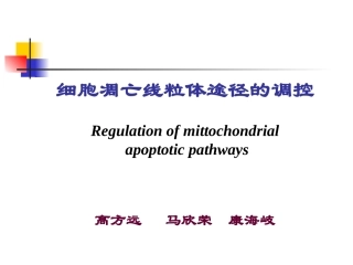 细胞凋亡线粒体途径的调控精
