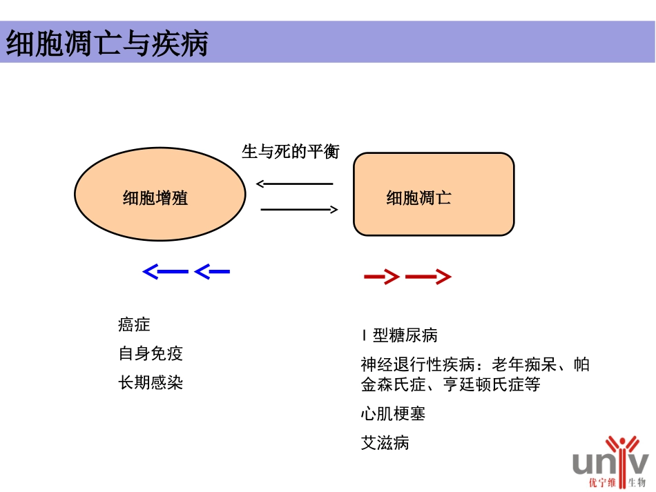 细胞凋亡周期_第3页