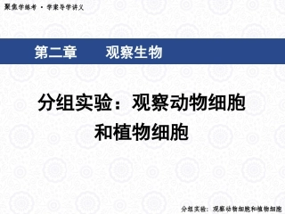 细胞分组实验观察动物细胞和植物细胞