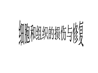 细胞和组织的损伤与修复