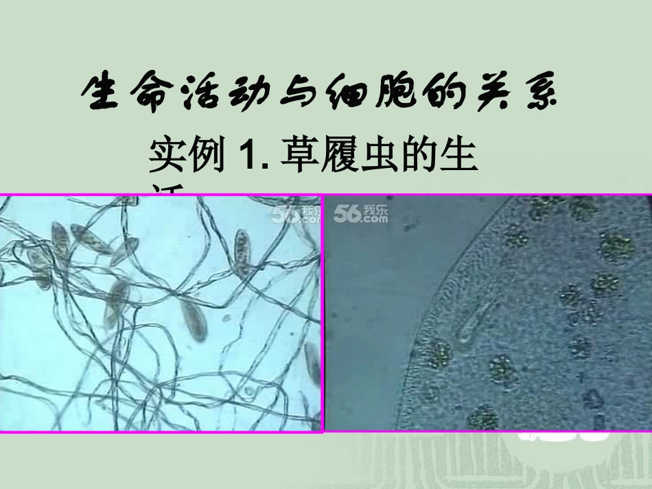 细胞结构与功能_第3页