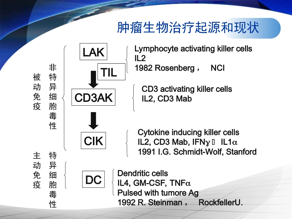 细胞免疫治疗医学课件_第3页