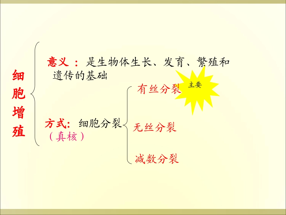 细胞增殖有丝分裂_第1页