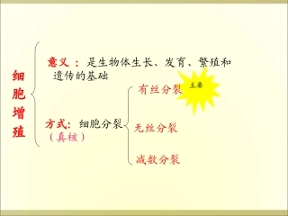 细胞增殖有丝分裂