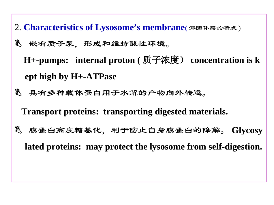 细胞质基质与细胞内膜系统_第2页
