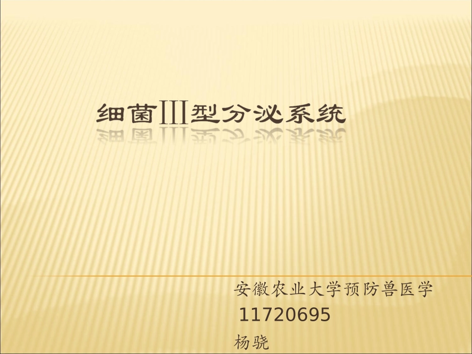 细菌III型分泌系统_第1页