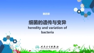 细菌的遗传与变异