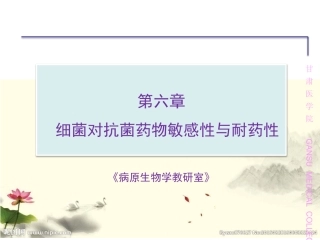 细菌对抗菌药物敏感性与耐药性