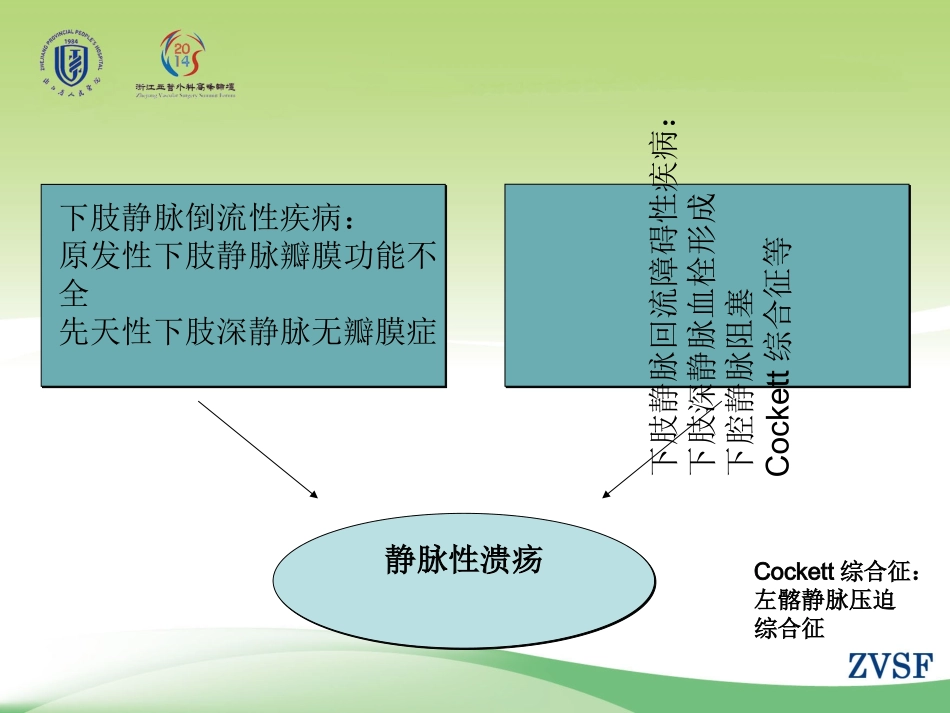 下肢静脉性溃疡的处置策略精讲_第3页