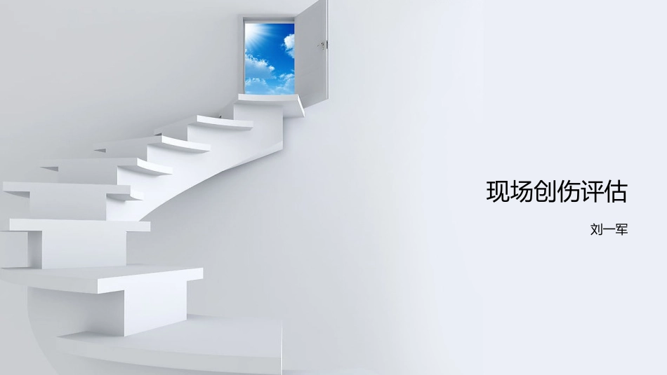 现场创伤评估_第1页