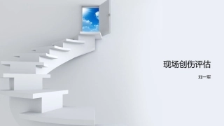 现场创伤评估