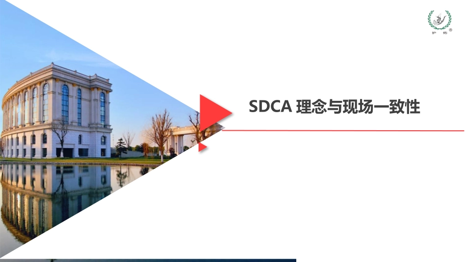 现场一致性管理体系_第3页